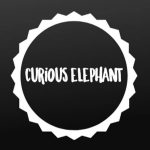 Curious Elephant
